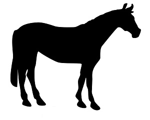 лошадь.jpg